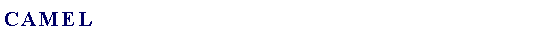 Text Box: Camel